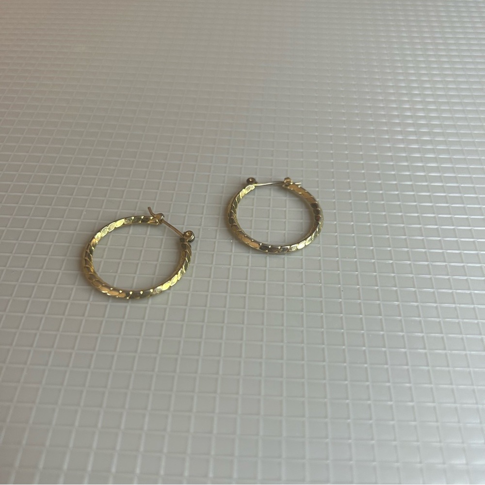 Elegant Gold Hoop Earrings